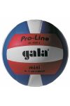 GALA Pro Line Mini libero lopta za odbojku, veličina 4